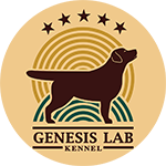 Genesis Lab Logo